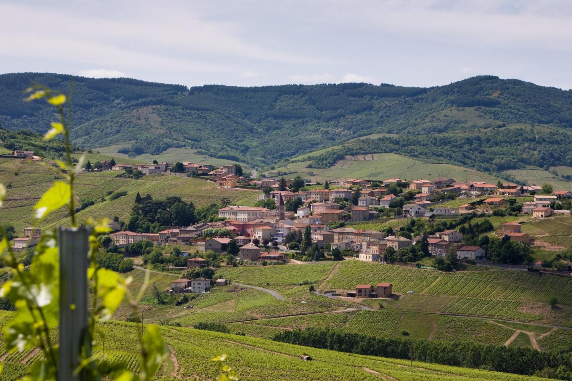 Auberge De Clochemerle Vaux-en-Beaujolais Buitenkant foto